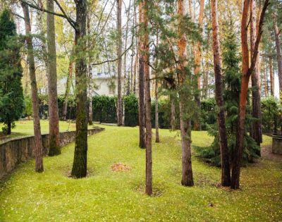 photo 6806409cefe89_thumb.jpg