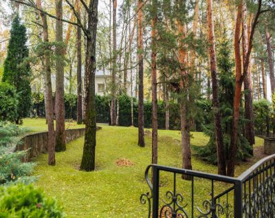 photo 6806409d7e807_thumb.jpg