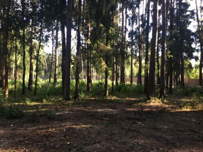 photo 6809f41f0fb96_thumb.jpg