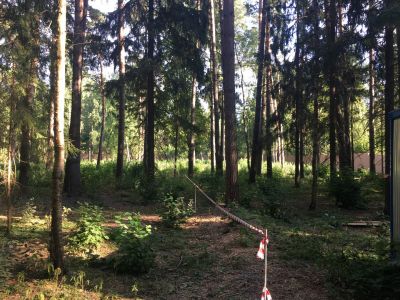 photo 6809f4267986b_thumb.jpg