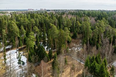 photo 680b63953cd4f_thumb.jpg