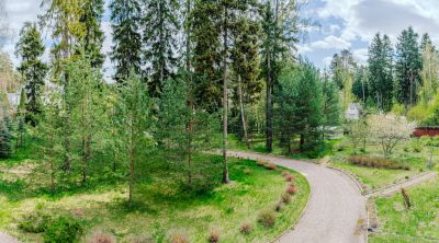 photo 6821a28e80991_thumb.jpg