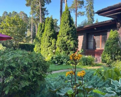 photo 681b0569a5ba9_thumb.jpg