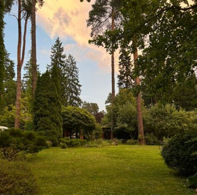 photo 681b05b6f3ca0_thumb.jpg