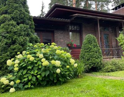 photo 681b05b7a85bf_thumb.jpg