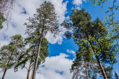 photo 6820ea98b6733_thumb.jpg