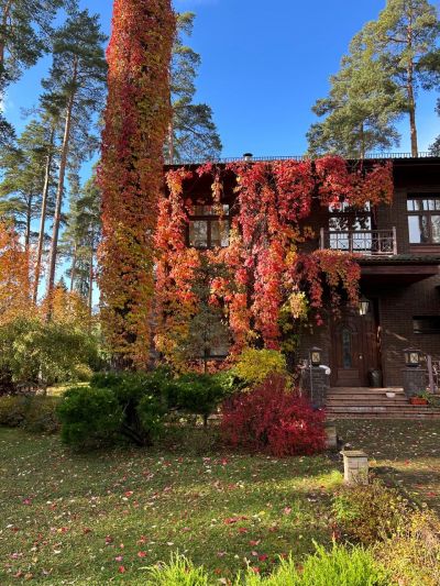 photo 69a55e91368dc_thumb.jpg