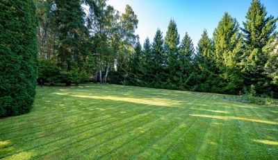 photo 681ccf8c1c300_thumb.jpg