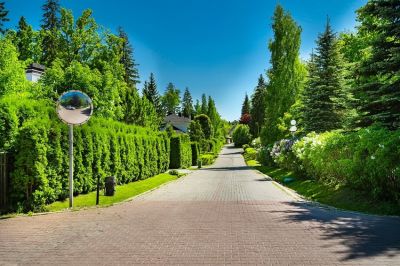 photo 682c9beb64f9d_thumb.jpg