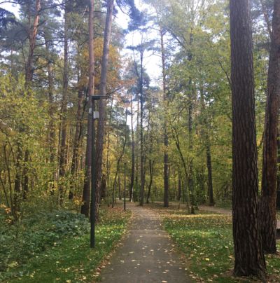 photo 683713718fac5_thumb.jpg