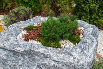 photo 12067_672dd73fa40b7_thumb.jpg