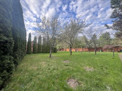 photo 12073_681c5005e4117_thumb.jpg