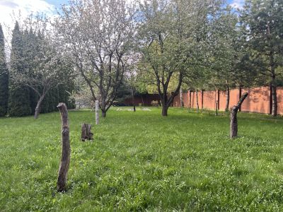 photo 12073_681c50084080f_thumb.jpg