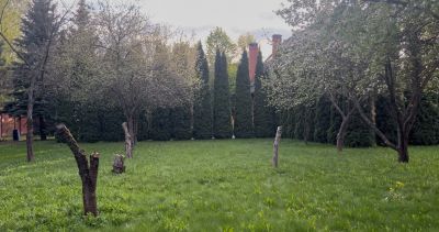 photo 12073_681c500d58e1f_thumb.jpg