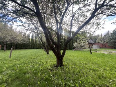 photo 12073_681c5010cde16_thumb.jpg