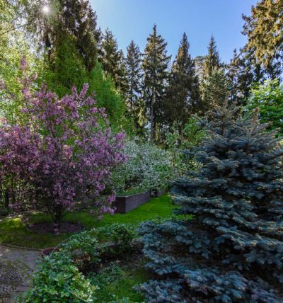 photo 68396c922ae78_thumb.jpg