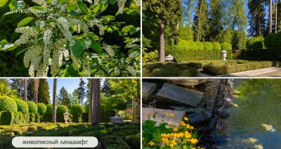 photo 68396c9335b6a_thumb.jpg