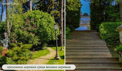 photo 68396c97e483f_thumb.jpg