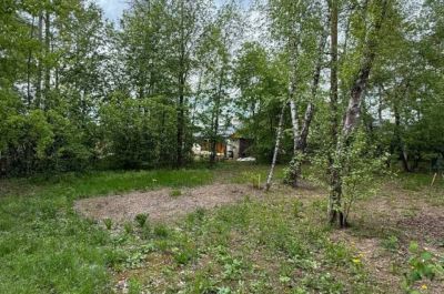 photo 68399d7fdc0d5_thumb.jpg