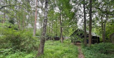 photo 683eb784280e1_thumb.jpg