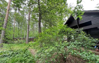 photo 683eb7855ce64_thumb.jpg