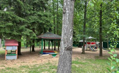 photo 683eb7867d181_thumb.jpg