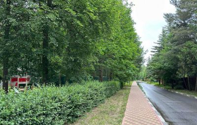 photo 683eb7871bb72_thumb.jpg