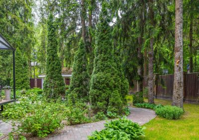 photo 68481eb76d9d6_thumb.jpg