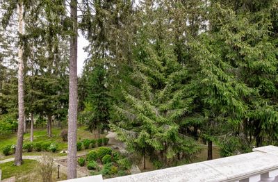 photo 684ad54547c51_thumb.jpg