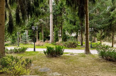 photo 684ad546c041b_thumb.jpg