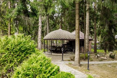 photo 684ad547e59fa_thumb.jpg