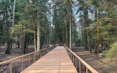 photo 6852b92ece75b_thumb.jpg