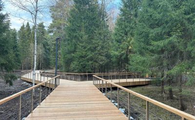 photo 6852b9306967e_thumb.jpg