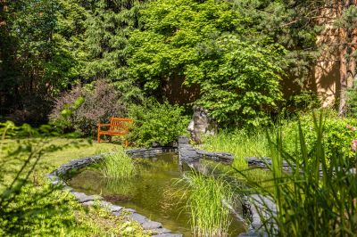 photo 685418bfe70f8_thumb.jpg