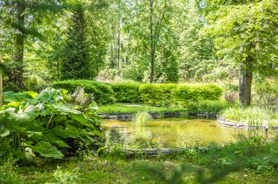 photo 685418d41413e_thumb.jpg