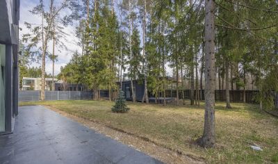 photo 685a915b8e25f_thumb.jpg