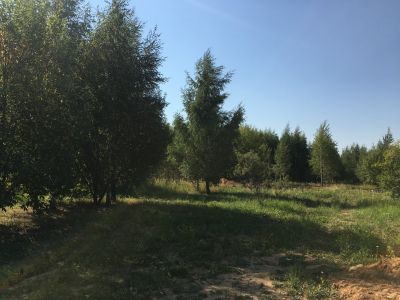 photo 12119_12118_63bdc5c05f793_thumb.jpg