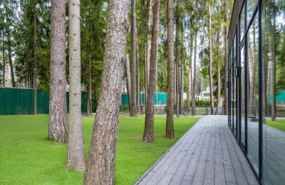 photo 68629054d64db_thumb.jpg