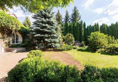 photo 686695b8e7e66_thumb.jpg