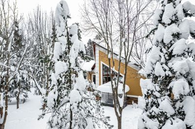 photo 698c352734faf_thumb.jpg