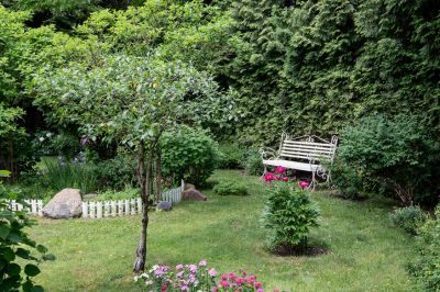 photo 686fdbbb556b8_thumb.jpg