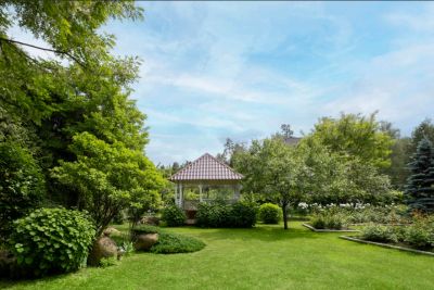 photo 686fdbbca1a1b_thumb.jpg