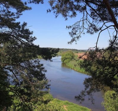 photo 686f6807cd514_thumb.jpg