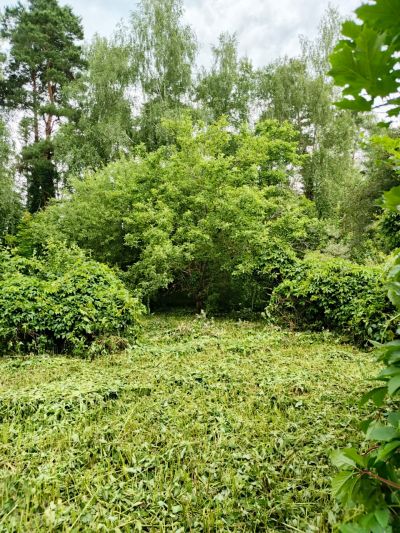 photo 686f6809a3625_thumb.jpg