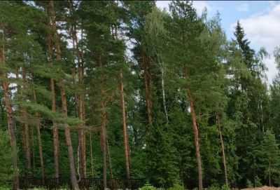 photo 686f680a4b965_thumb.jpg