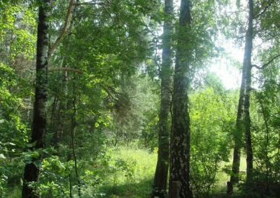 photo 686f680a8c514_thumb.jpg