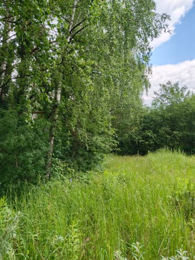 photo 686f680b69f0c_thumb.jpg