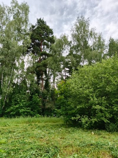 photo 686f690d2457a_thumb.jpg