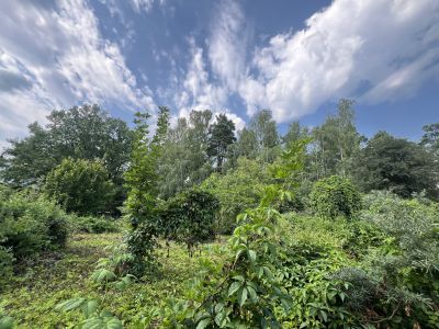 photo 686f690dd1834_thumb.jpg