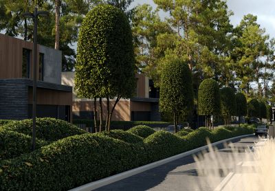 photo 686fcc4a6a73d_thumb.jpg